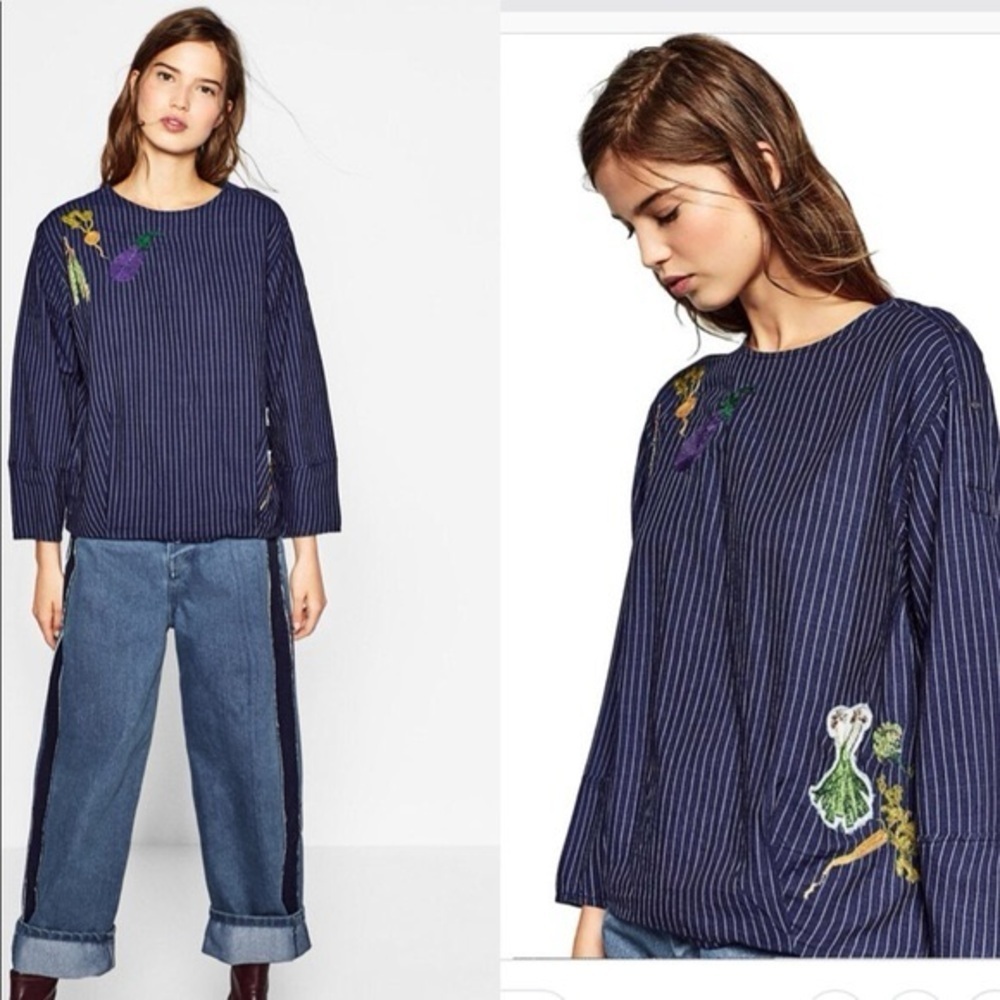 Zara Blue Striped Denim Top